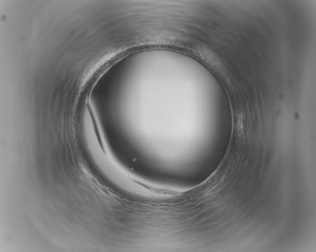 X0000052600676200507221634