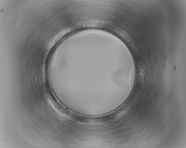 X0000052600678200507221634