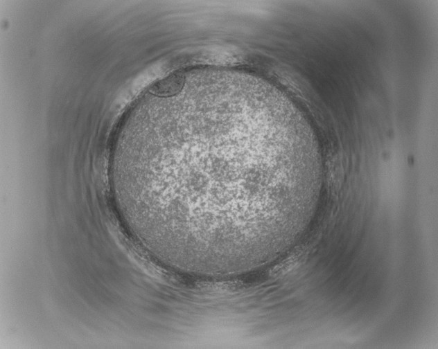 X0000052600679200507221634