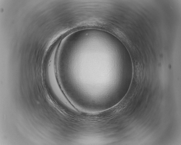 X0000052600680200507221634