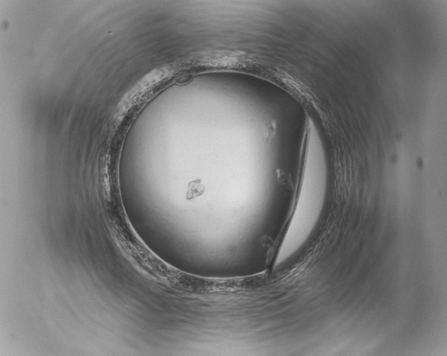 X0000052600682200507221634