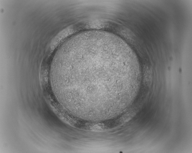 X0000052600683200507221634