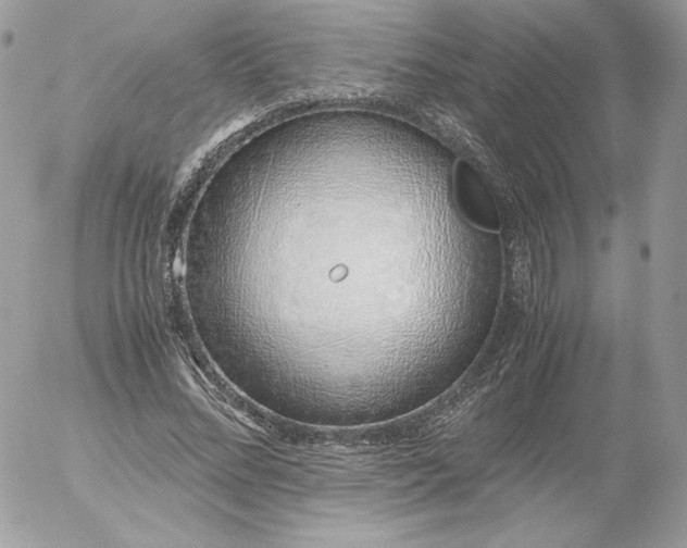 X0000052600684200507221634