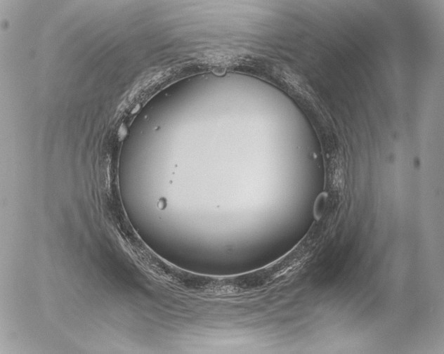 X0000052600685200507221634