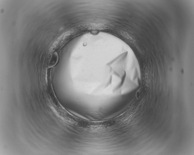 X0000052600686200507221634