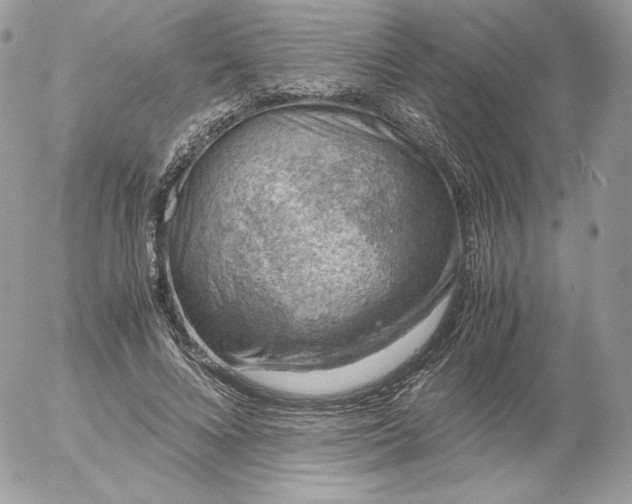 X0000052600688200507221634