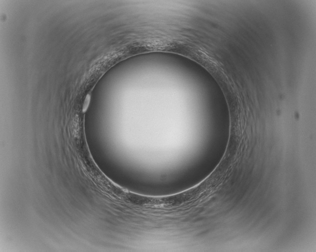 X0000052600689200507221634