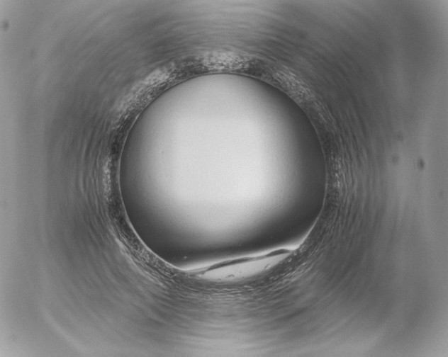 X0000052600690200507221634