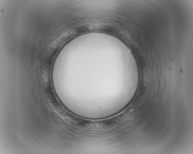 X0000052600691200507221634