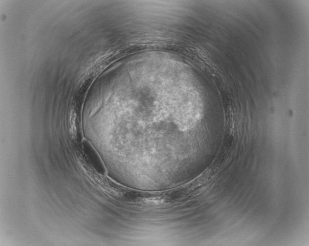 X0000052600692200507221634