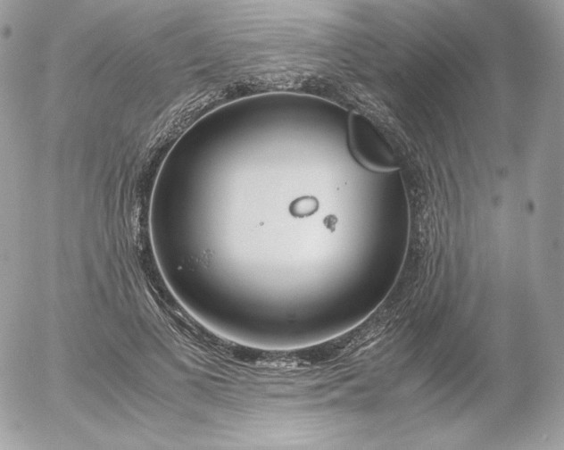 X0000052600693200507221634