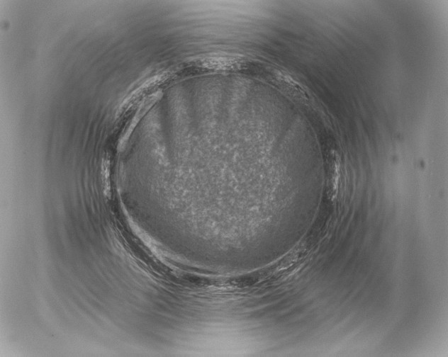 X0000052600696200507221634