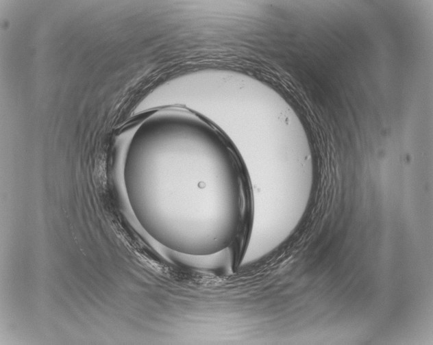 X0000052600697200507221634