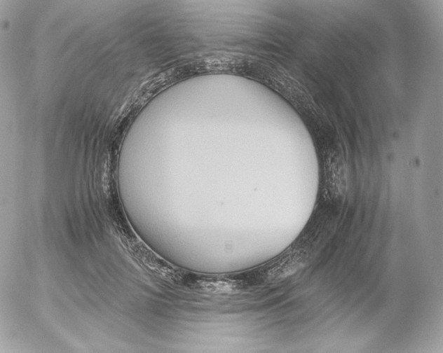 X0000052600698200507221634