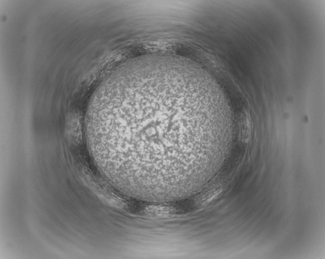 X0000052600699200507221634