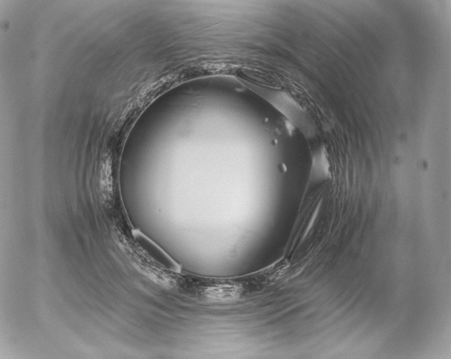 X0000052600700200507221634