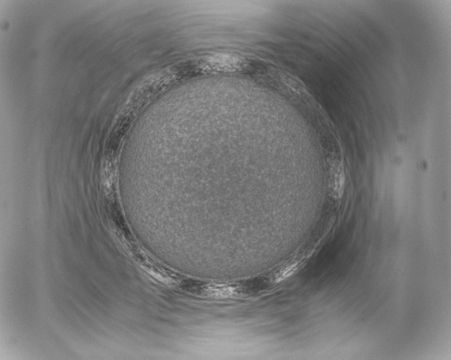 X0000052600701200507221634