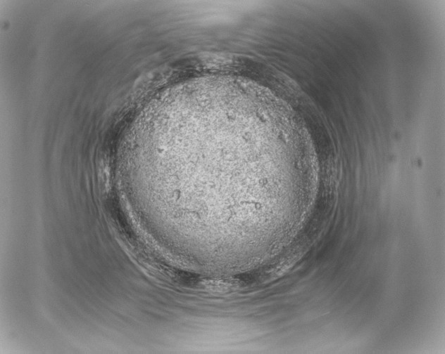 X0000052600703200507221634