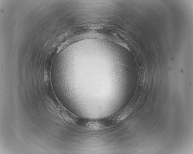 X0000052600704200507221634