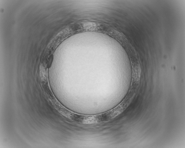 X0000052600705200507221634