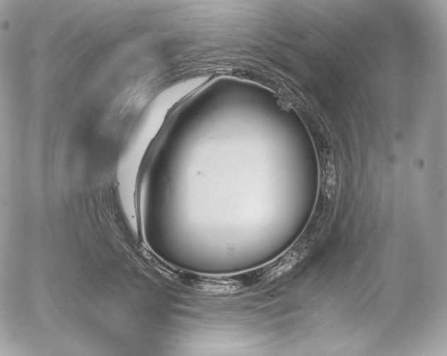 X0000052600707200507221634