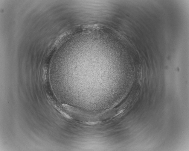 X0000052600708200507221634