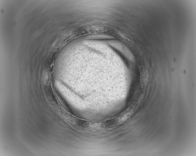 X0000052600709200507221634