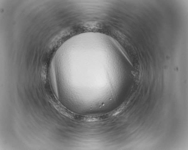 X0000052600710200507221634