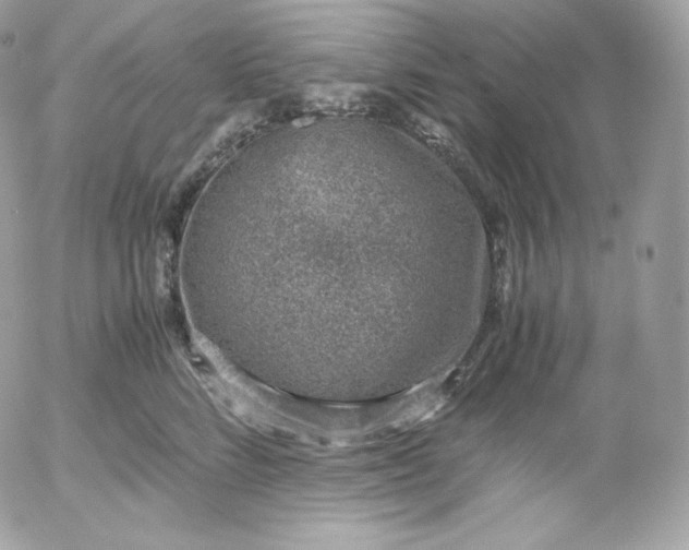 X0000052600712200507221634