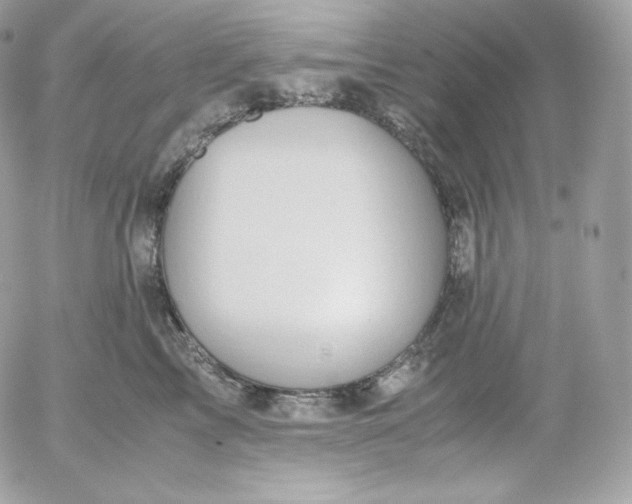 X0000052600713200507221634