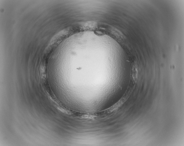 X0000052600714200507221634