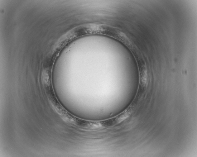 X0000052600715200507221634