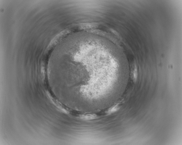 X0000052600716200507221634