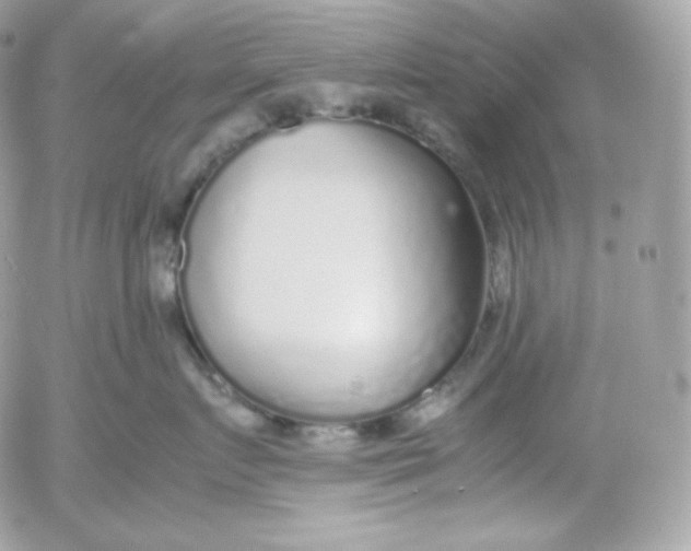 X0000052600719200507221634