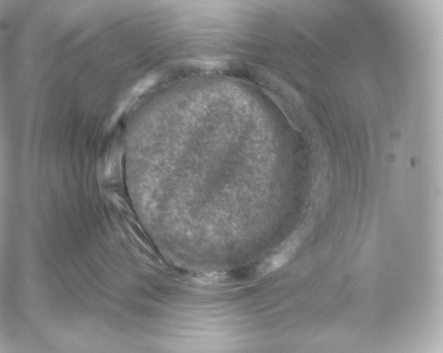 X0000052600720200507221634