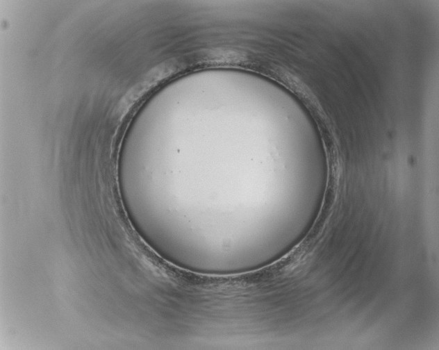 X0000052600721200507221633