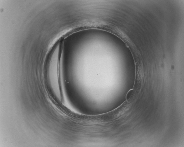 X0000052600722200507221633