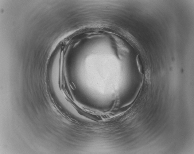 X0000052600724200507221633