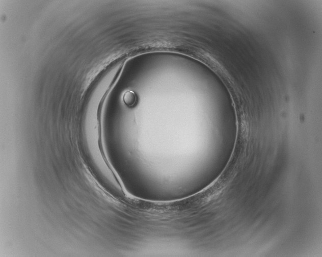 X0000052600725200507221633