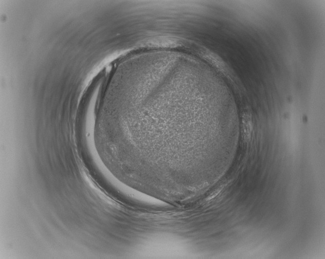 X0000052600726200507221633