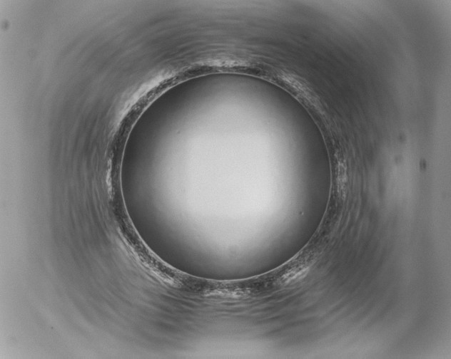 X0000052600727200507221633