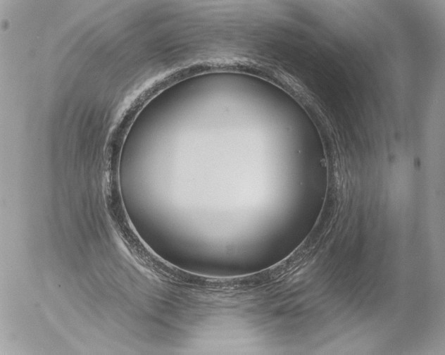 X0000052600728200507221633