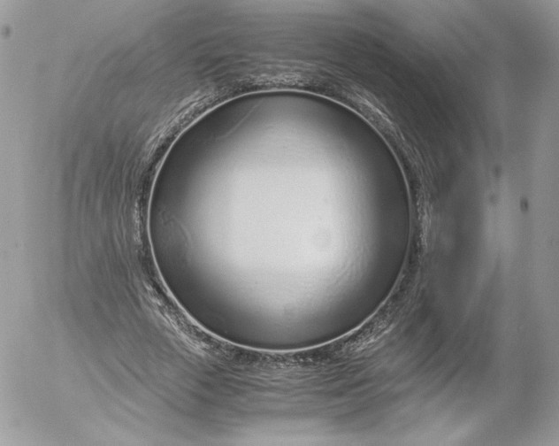 X0000052600729200507221633