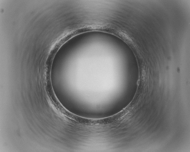 X0000052600730200507221633