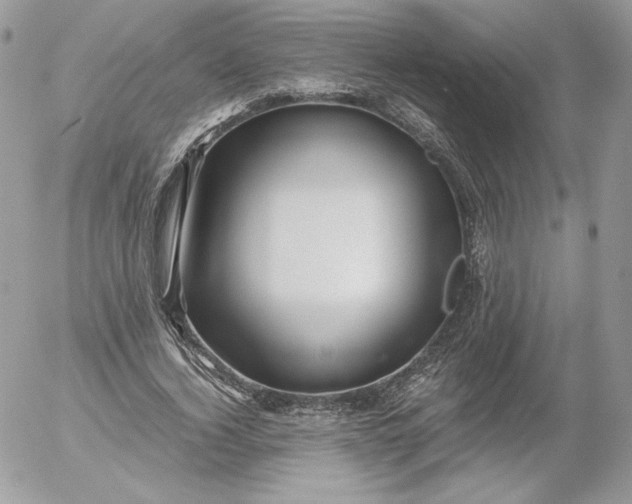 X0000052600732200507221633