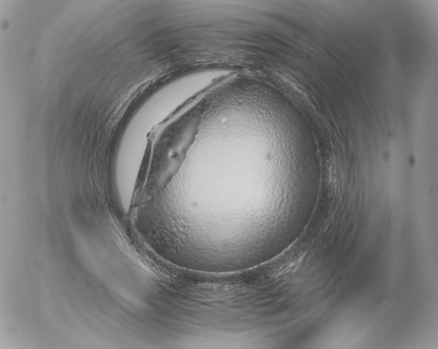 X0000052600733200507221633