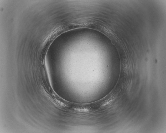 X0000052600735200507221633