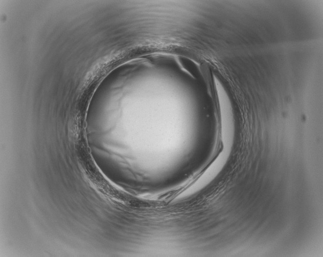 X0000052600736200507221633