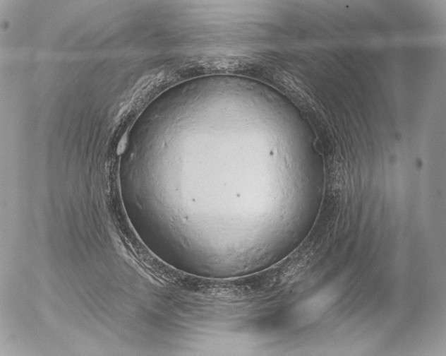 X0000052600738200507221633