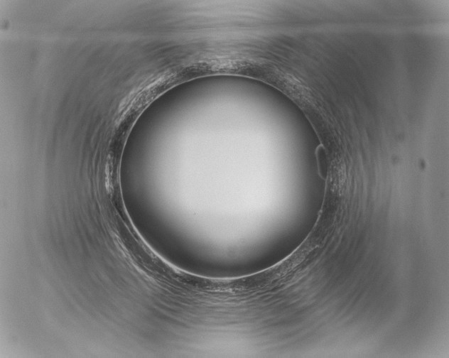 X0000052600740200507221633